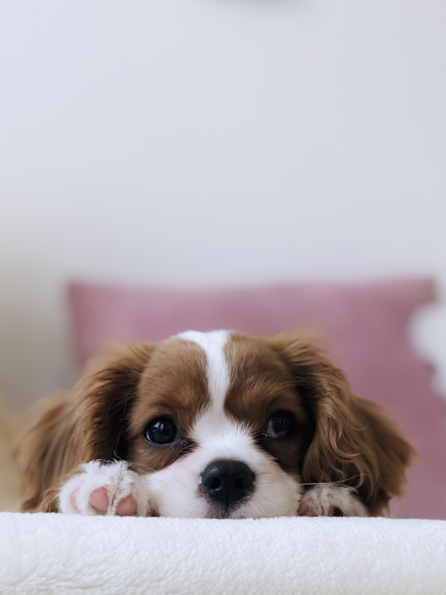 Chien joyeux